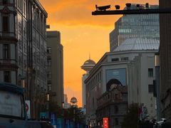 -上海和平饭店华懋阁 Cathay Room