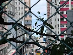 -香港大学