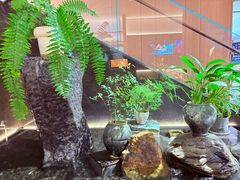 -连鹭海鲜·海肠捞饭·海胆饭(星海店)