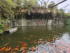 -千岛湖东南湖区