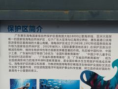 -广东惠东海龟国家级自然保护区
