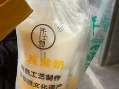 -德禄酸奶(莫家街店)