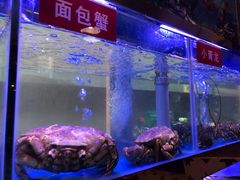 -小龍鳳·港式海鲜打边炉(沙湖路店)