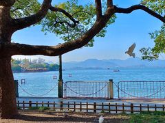 -星巴克(杭州湖滨银泰E区店)