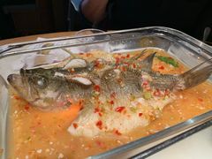 -佬肥猫(国华广场店)