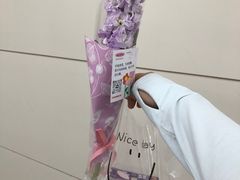 -CAKEBOSS蛋糕老板(东直门来福士店)