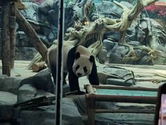 -武汉动物园