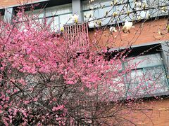 -浙江大学(玉泉校区)