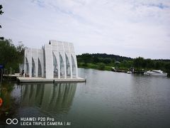 -大塘金香草谷
