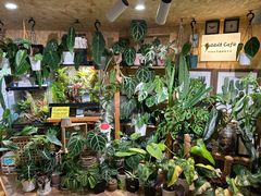 -Rabbit Cafe私房西餐甜点咖啡(栖霞路店)