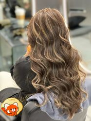 -5M HAIR SALON 旗舰店