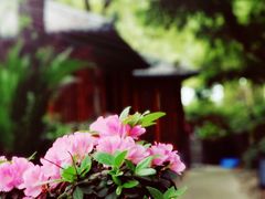 -大妙火锅·非物质文化遗产(东湖公园店)