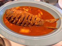 -阿五黄河大鲤鱼(纬三路店)