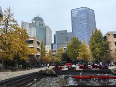 -北京市陈经纶中学