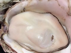 -烧蠔帮·湛江生蚝(茂南万达店)