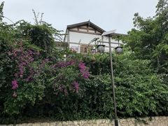 -古市香跷脚牛肉·非遗传承单位