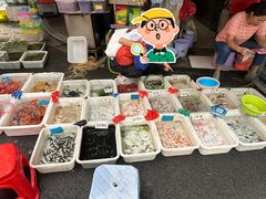 -清平路水族市场