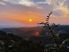 -五龙城郊森林公园
