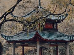 -岳麓山风景名胜区