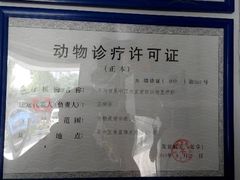 -爱牧宠物医院·猫专科·骨科·内窥镜(甪直店)