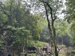 -灵隐飞来峰景区