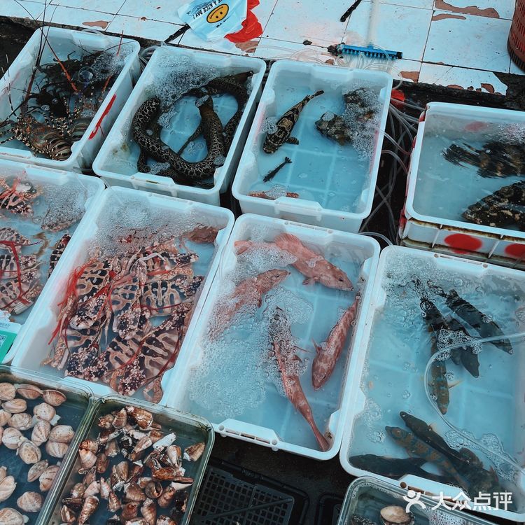 新村码头!海鲜买到爽,帮你避坑!