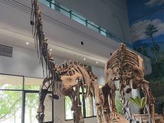 -自贡恐龙博物馆