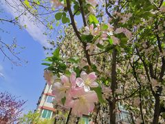 -海棠花溪(元大都城垣遗址公园)