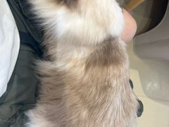 -藏猫猫咖啡主题馆(中央大道店)