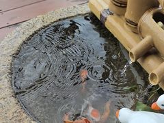 -小茶闲舍·观景商务茶馆(广州塔店)