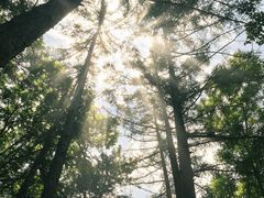 -洛阳白云山景区