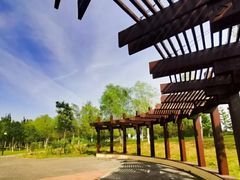 -永定河休闲森林公园