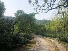 -雨花胜境