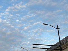 -海底捞火锅(正大乐城店)