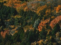 -鹫峰国家森林公园