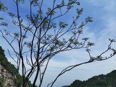 -秦岭终南山世界地质公园翠华山景区