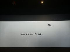-万达影城(开福万达广场IMAX店)