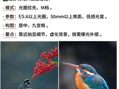 -CGWANG王氏教育(上海校区)