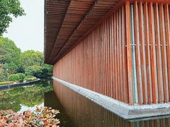 -八大山人梅湖景区