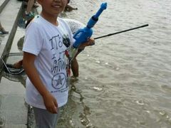 android_upload_pic-人民防洪胜利纪念塔