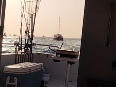 -小猫钓鱼海钓俱乐部(椰梦长廊店)