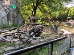 -宁波野生动物园