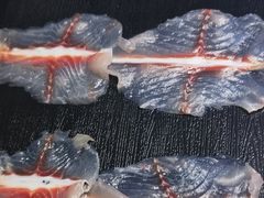 -京门活鱼馆·鱼火锅(百子湾（原红庙）店)
