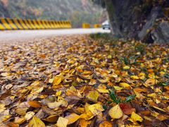 -秦岭终南山世界地质公园翠华山景区