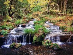 -城崎温泉 外七汤