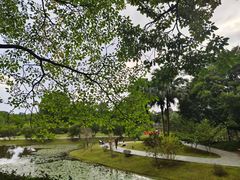 -东莞植物园