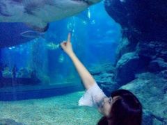 -暹罗海洋世界