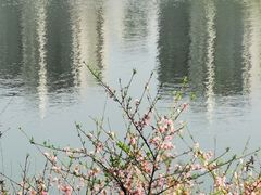 -重庆彩云湖湿地公园