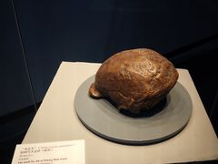 -北京周口店北京人遗址博物馆