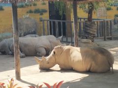 -西安秦岭野生动物园